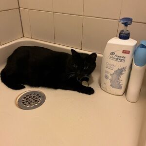 Make me an offer open to all good offers